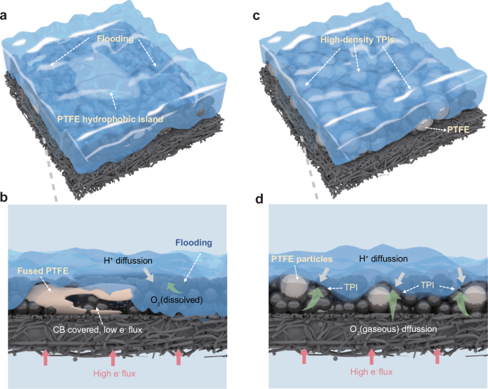 Fig. 1: Schematic comparison of conventional and particulate-packed CL structures and their impact on TPI formation.