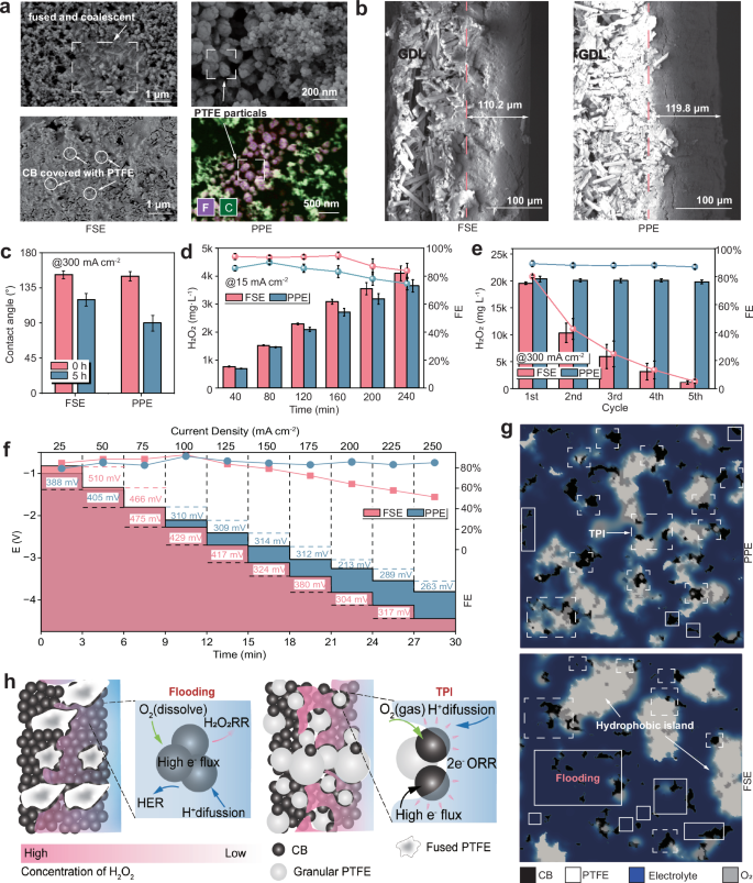 Fig. 2: Morphological and performance comparisons of two catalyst/binder interface structures.