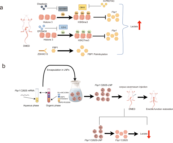 Fig. 8: Mechanism diagram.
