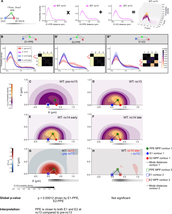 Fig. 3: Joint conditional probability density function to model the various positions of CRMs relative to each other.