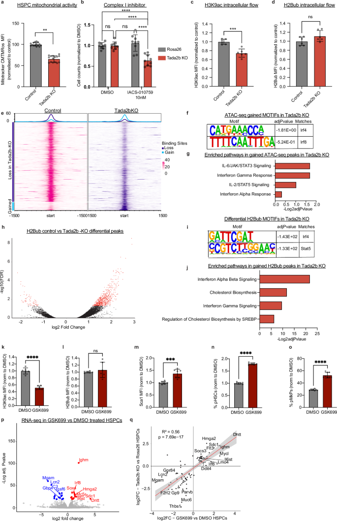 Fig. 5: Altered SAGA complex chromatin activity associated with loss of adapter proteins.