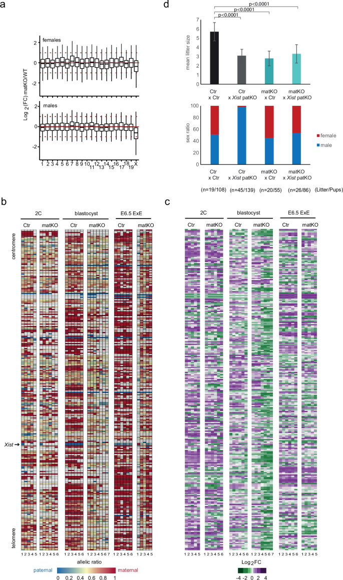 Fig. 6: Functional consequences of aberrant expression of Xist.