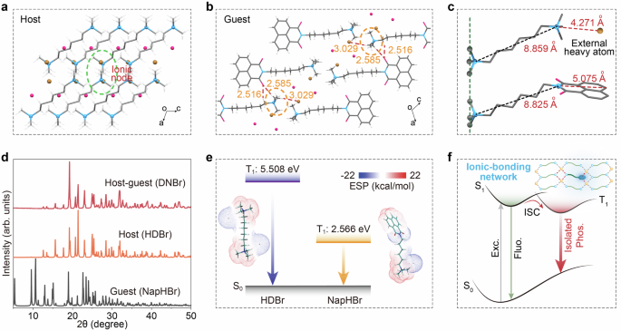 Fig. 3: Mechanistic investigations of constructing an ionic-bonding network for phosphorescence under ambient conditions.