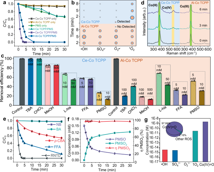 Fig. 4: PMS activation and identification of reactive oxygen species.