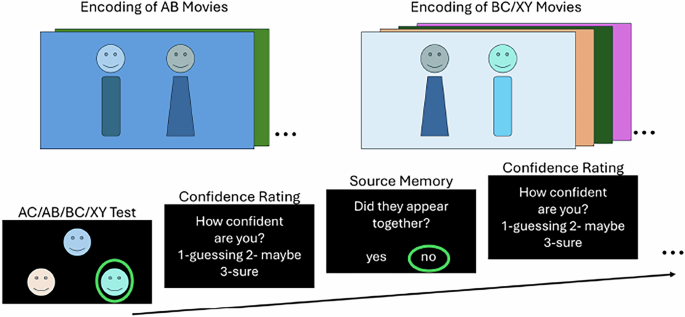 Fig. 1: Overview of the experimental paradigm.