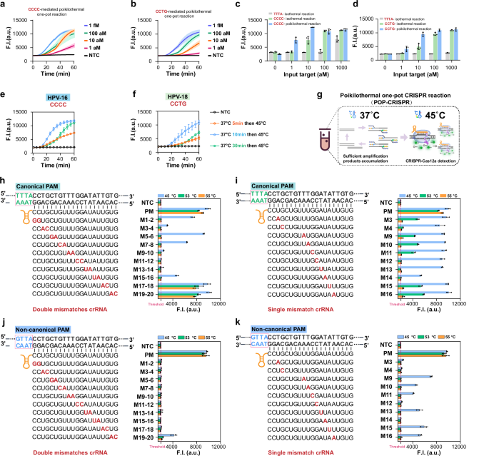 Fig. 4: Evaluation of the sensitivity and the specificity of the Cas12a system under PAM and temperature synergistically regulated CRISPR-Cas12a reaction.