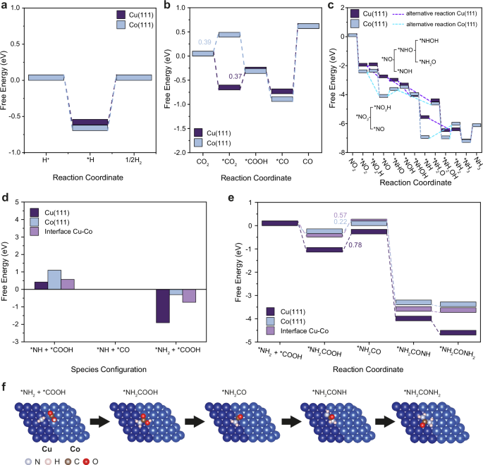 Fig. 6: The DFT calculations for CO2RR, NO2⁻RR, and electrochemical C‒N coupling.