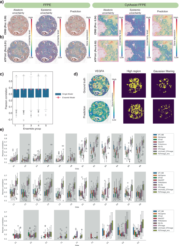 Fig. 2: Distribution-based estimation and benchmarking of the STimage CNN-NB model.