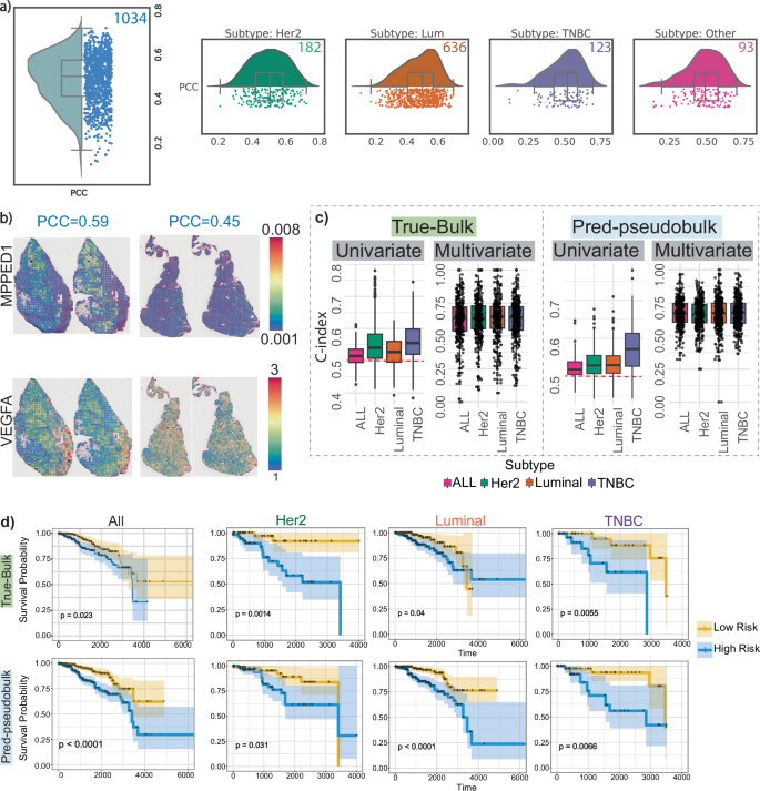 Fig. 5: TCGA validation.