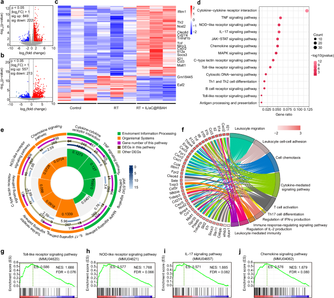 Fig. 7: In vivo antitumor mechanism mediated by RT + IL/aC@RBAH in orthotopic 4T1 tumors.