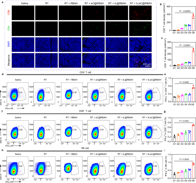 Fig. 9: RT + IL/aC@RBAH potentiates systemic antitumor immunity in subcutaneous Panc02 tumors.