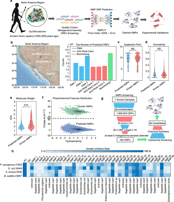 Fig. 1: The integrated mining strategy of AMPs from ancient biological samples.