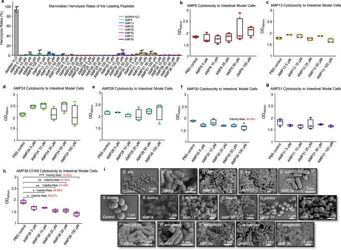 Fig. 3: The bio-safety and mechanistic assessment of the selected leading AMPs.