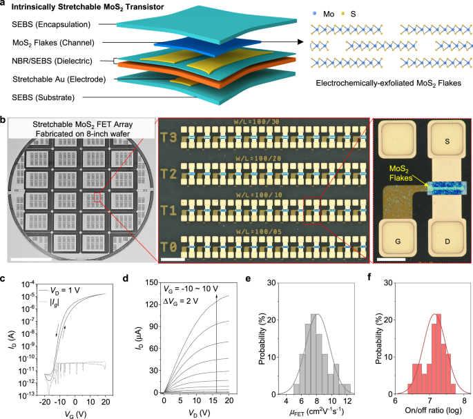 Fig. 2: Eight-inch wafer-scale intrinsically stretchable MoS2 transistor array.
