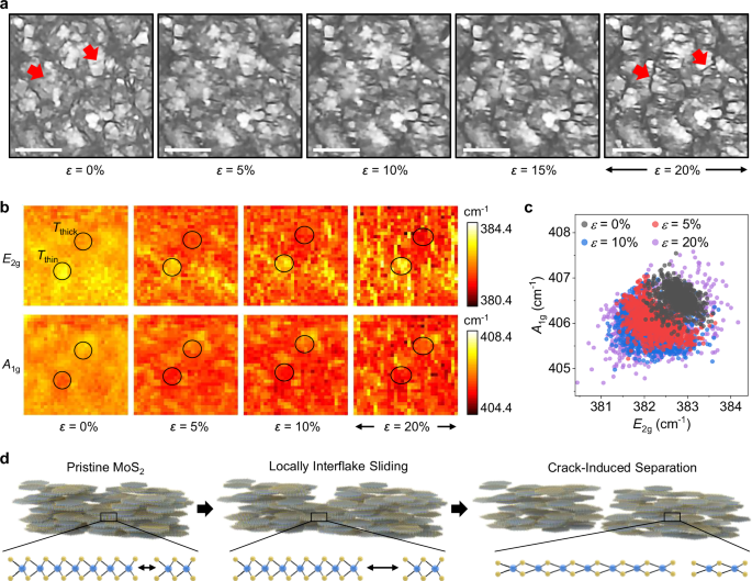 Fig. 4: Structural characterization of MoS2 under strain.
