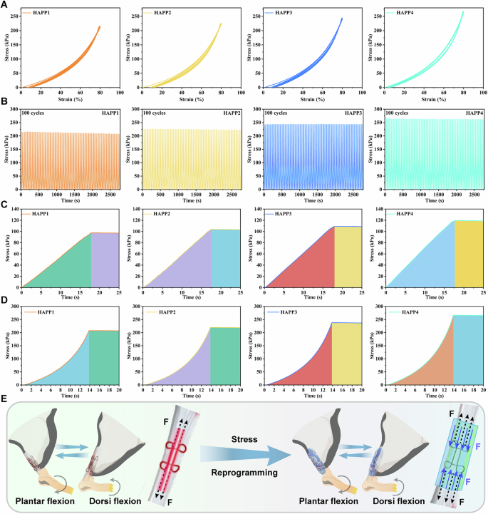 Fig. 3: The hydrogel enables fatigue resistance and stress redistribution.