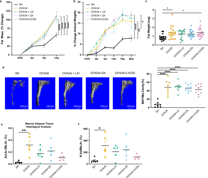 Fig. 4: Effect of E2 deprivation on fat metabolism, with and without treatment with LIV and/or ZA in experiment II (older cohort, n = 20).