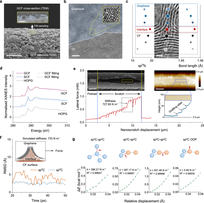 Fig. 2: GCF surface microstructures and grafting analysis.