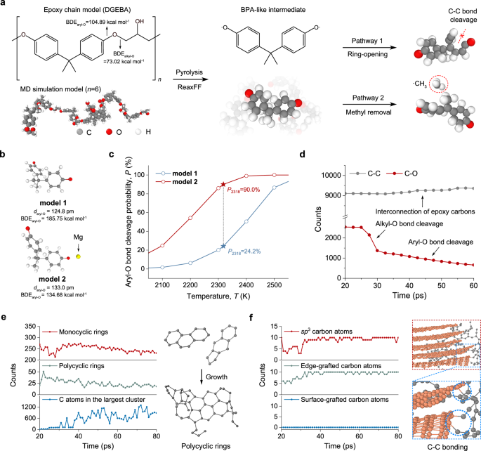 Fig. 3: Mechanistic investigations to epoxy decomposition pathways.