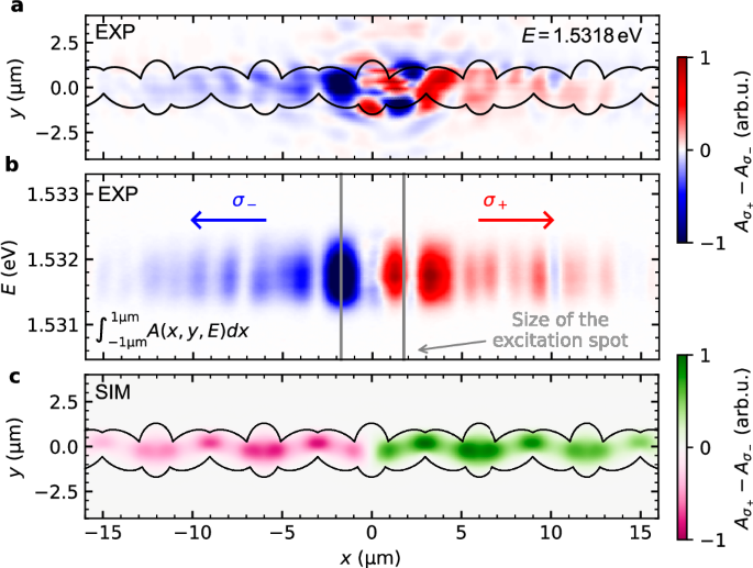 Fig. 4: Circular polarisation resolved real-space propagation of the exciton-polariton Bose–Einstein condensate.