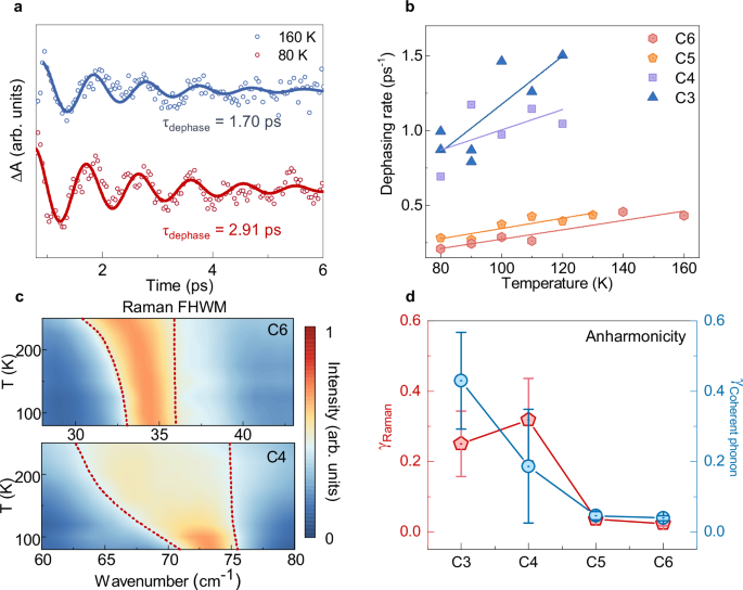 Fig. 4: Cyclic organic cation-dependent lattice anharmonicity in 2D lead bromide perovskites.