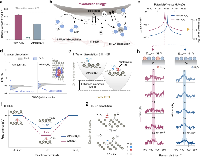 Fig. 3: The mechanism of reducing hydrazine inhibiting Zn corrosion.