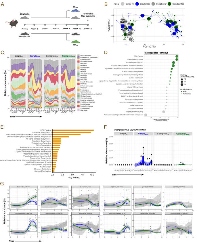 Fig. 1: McB lysates rapidly imprints the gut microbiota and alters microbial function.