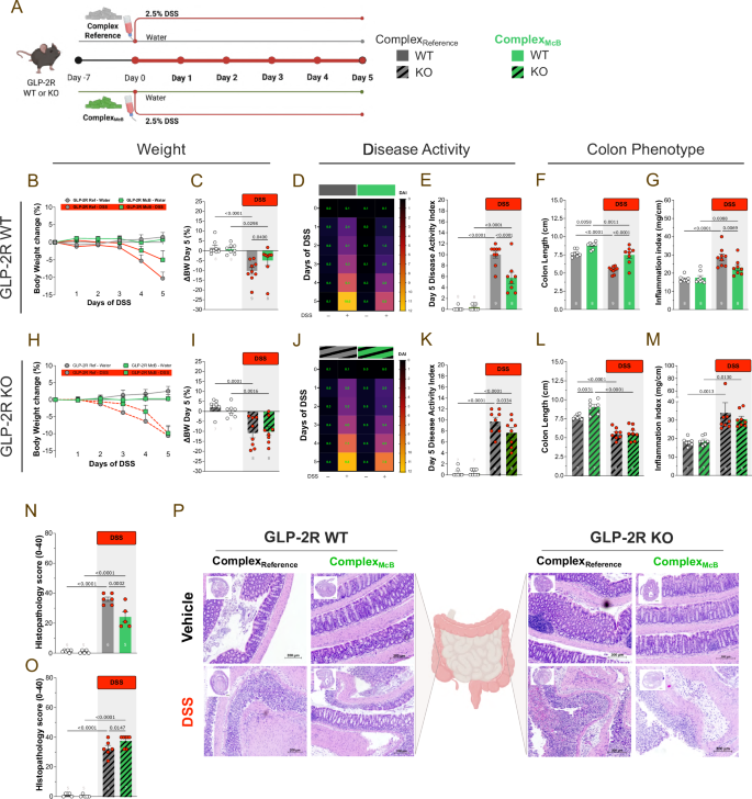 Fig. 5: The GLP-2R is necessary for McB-mediated protection against colitis.