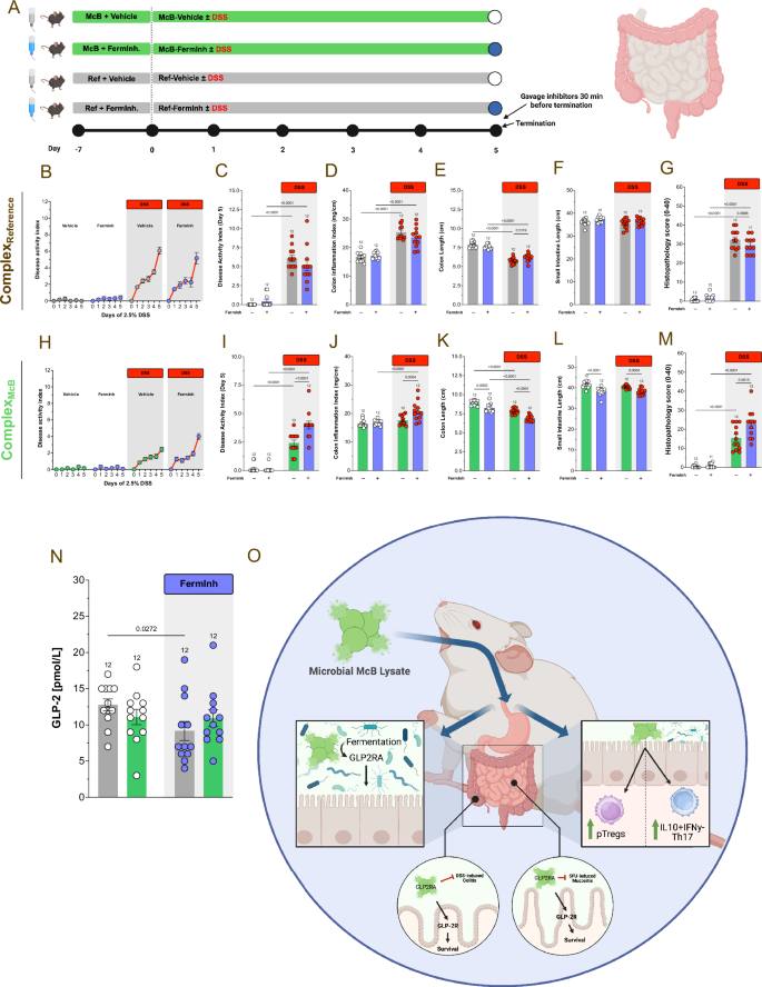 Fig. 6: Microbial fermentation is essential to confer McB-mediated gut protection.