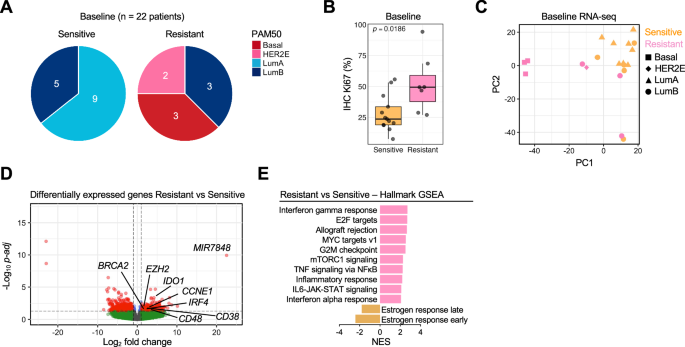 Fig. 2: Baseline comparison of PAM50 subtype and differentially expressed genes and pathways between ANA/PAL-sensitive and ANA/PAL-resistant cases.