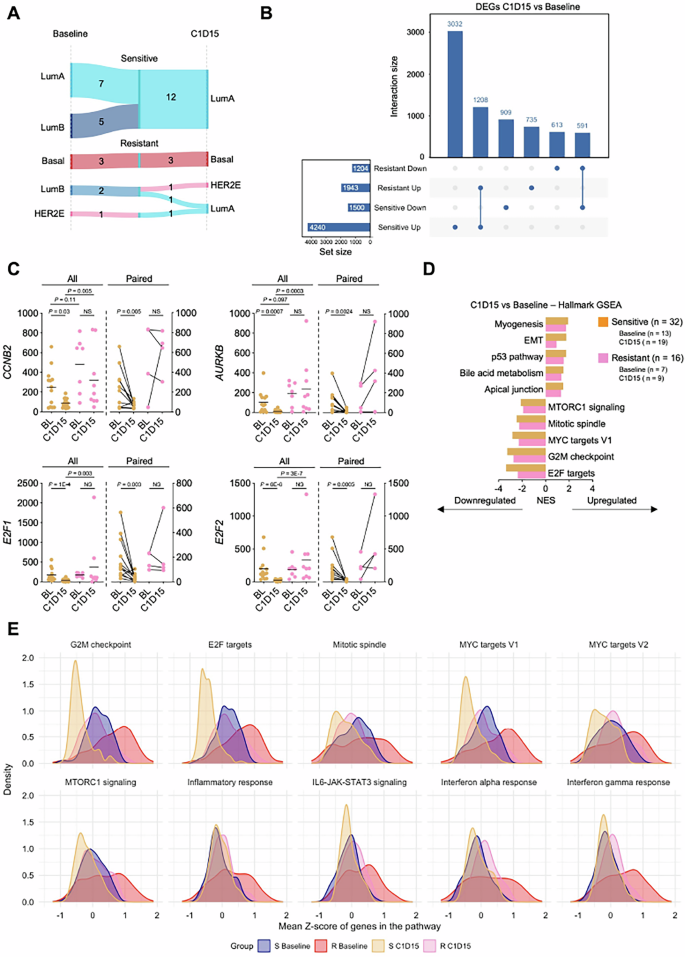 Fig. 4: Treatment induced transcriptomic changes.