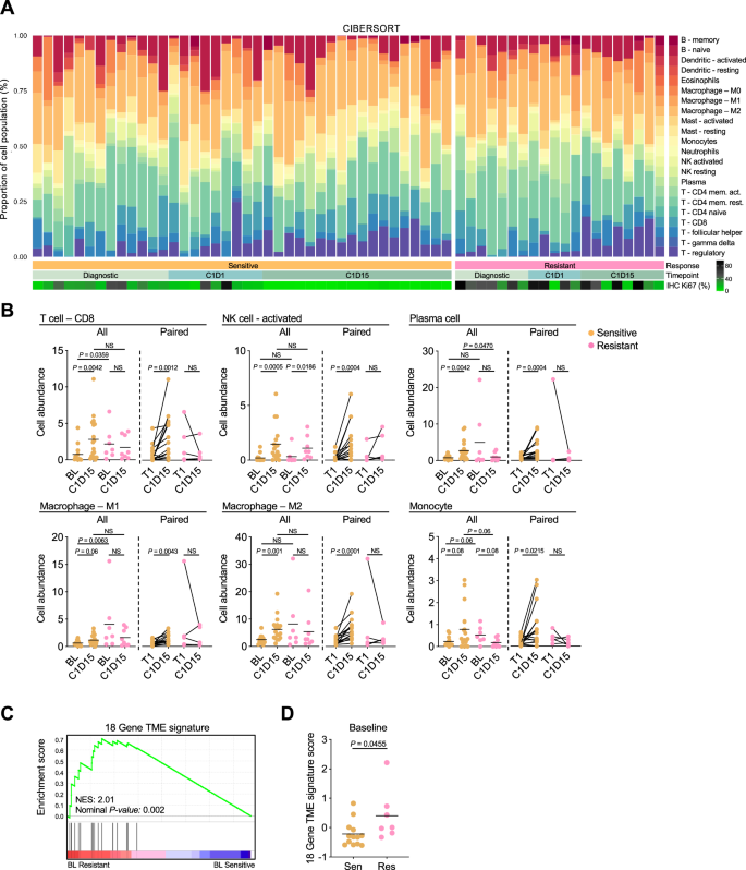 Fig. 6: Baseline and treatment-induced changes in immune cell population.