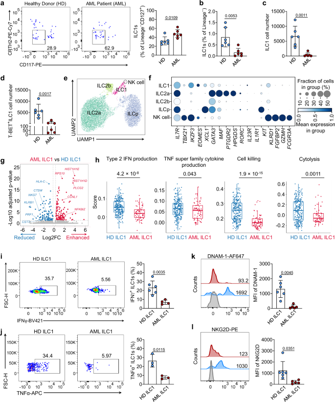 Fig. 1: Human ILC1s: Healthy donors (HDs) vs AML patients.
