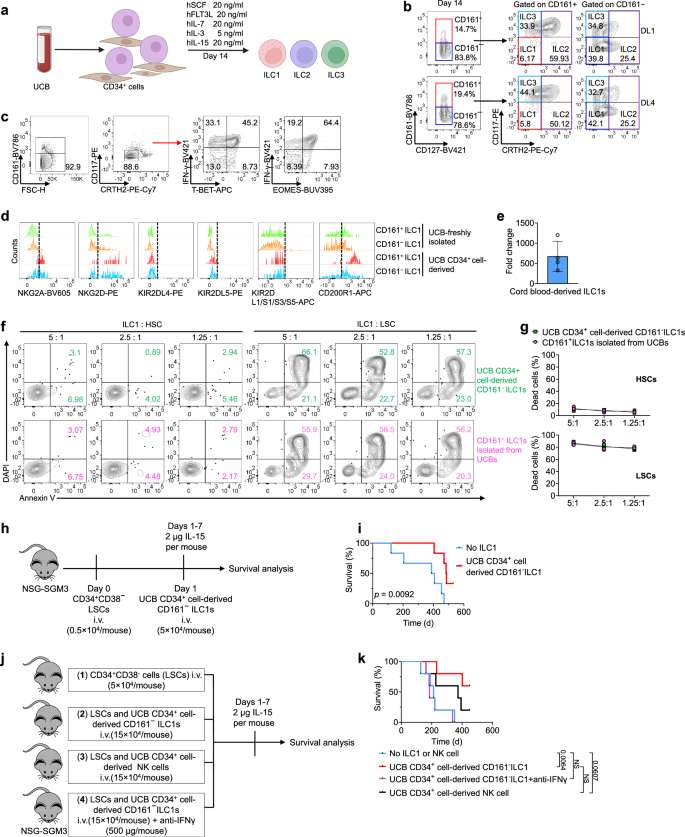 Fig. 6: ILC1s generated from UCB CD34+ cells confer anti-AML activity.