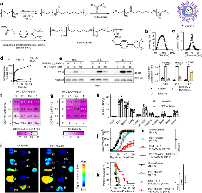 Fig. 7: Anti-tumor efficacy of PEF ablation, MOF-Fe, and M-C20U4V in KPC-A719 tumor models.