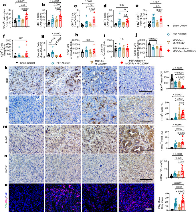 Fig. 8: Triple treatment with PEF ablation, MOF-Fe, and M-C20U4V activated anti-tumor immunity and suppressed tumor proliferation.