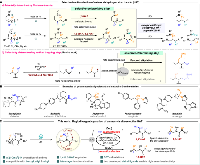 Fig. 1: Site-selective α’/β-amino C(sp3)–H bonds functionalisation.