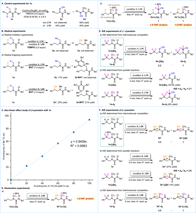 Fig. 5: Control experiments and preliminary mechanistic study.