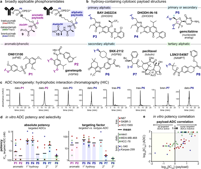 Fig. 5: Combination of the phosphoramidate-based linker systems with structurally diverse hydroxy-containing cytotoxins exhibiting diverse MOAs.