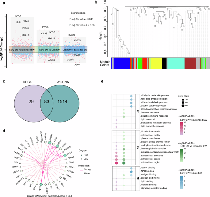 Fig. 2: Proteomic signatures of three eating timing patterns.