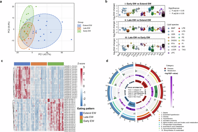 Fig. 3: Lipidomic profiles across eating timing patterns.