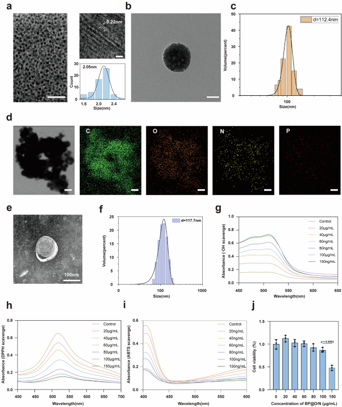 Fig. 3: Synthesis and characterization of camouflaged nanorobots.
