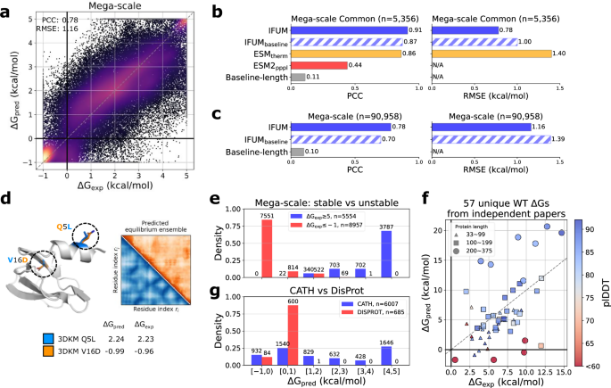 Fig. 2: IFUM performance on Mega-scale and other datasets.