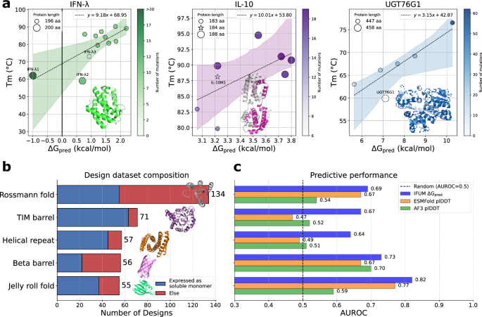 Fig. 4: IFUM performance on real-world protein engineering and in silico screening applications.