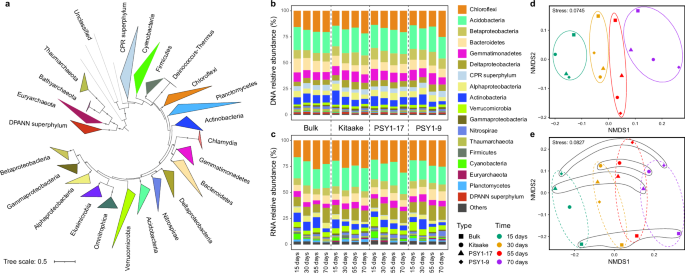 Fig. 3: Microbial community structure and activity.