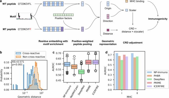 Fig. 2: Development and validation of the T-cell recognition model, NeoPrecis (NP)-Immuno.