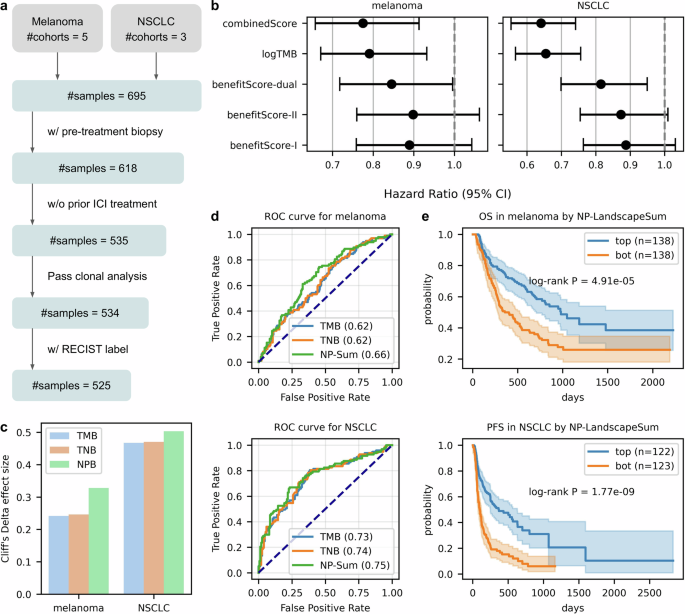 Fig. 5: Prediction of ICI response using the neoantigen landscape model.
