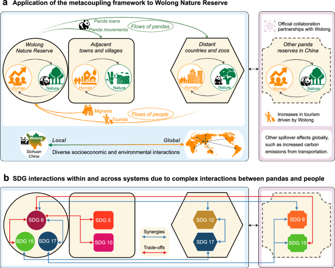 Fig. 2: Demonstration of Wolong Nature Reserve in southwestern China to illustrate the metacoupling framework and SDG interactions across local to global scales.