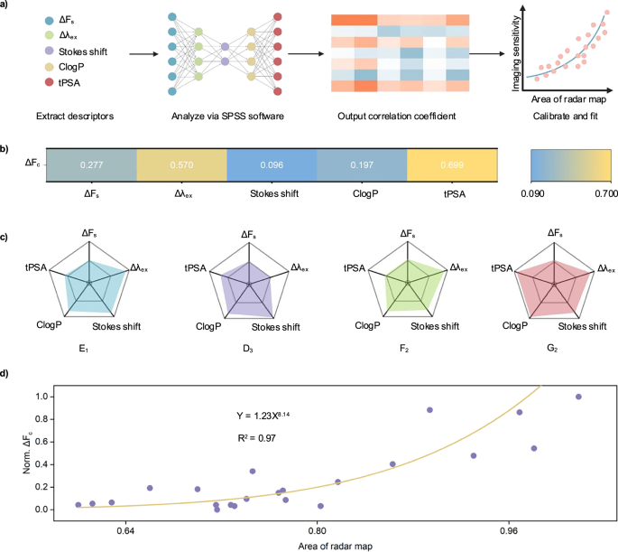 Fig. 2: Sensight development.