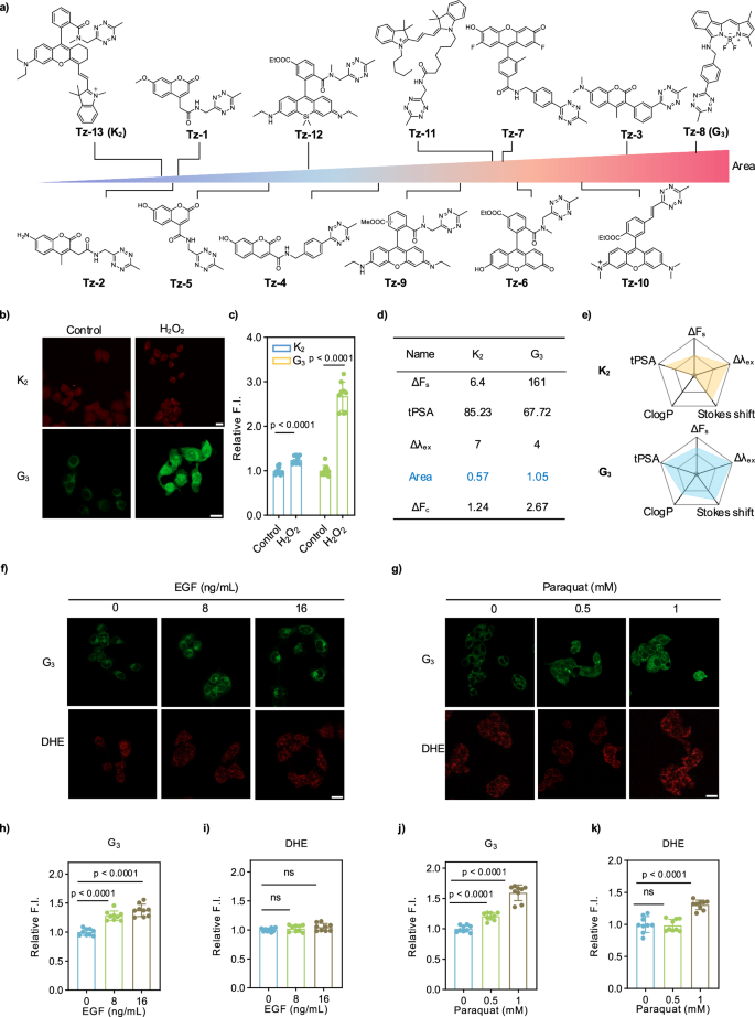 Fig. 4: Sensight’s application for de novo probe design.